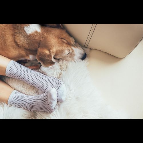 Natural Sheepskin Rug Single Pelt - Natural Ivory & Cream Colouring