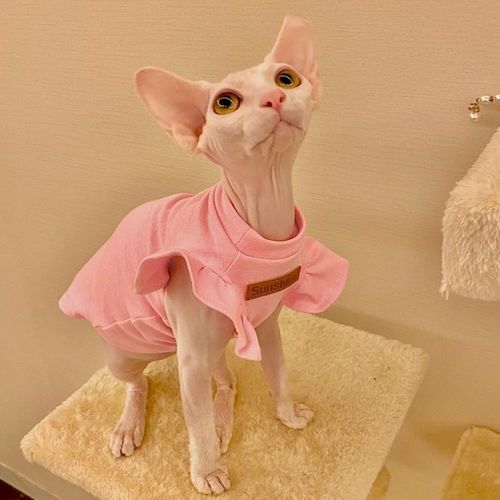 Luxury Cotton Pet Clothes for Small Dogs and Cats - Stylish Summer Outfit