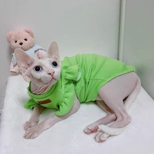 Luxury Cotton Pet Clothes for Small Dogs and Cats - Stylish Summer Outfit