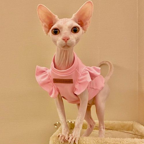 Luxury Cotton Pet Clothes for Small Dogs and Cats - Stylish Summer Outfit