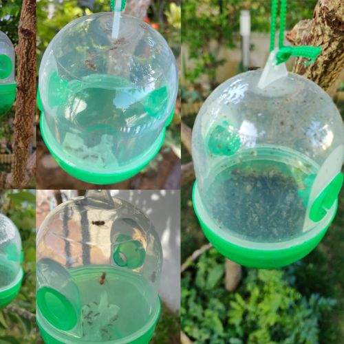 Yellowjacket Wasp Trap - Effective Pest Control for Garden & Outdoor