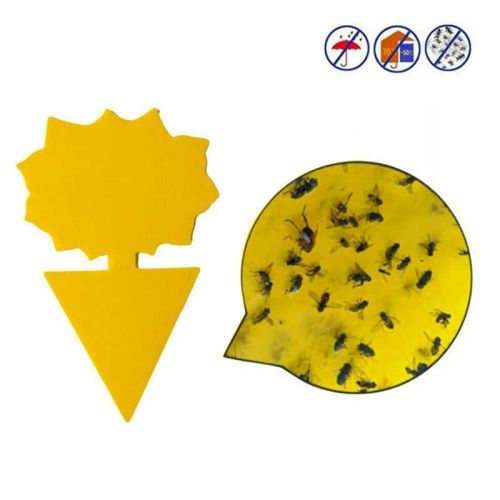Natural Sticky Insect Board Traps for Effective Plant Pest Control