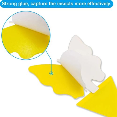 Natural Sticky Insect Board Traps for Effective Plant Pest Control