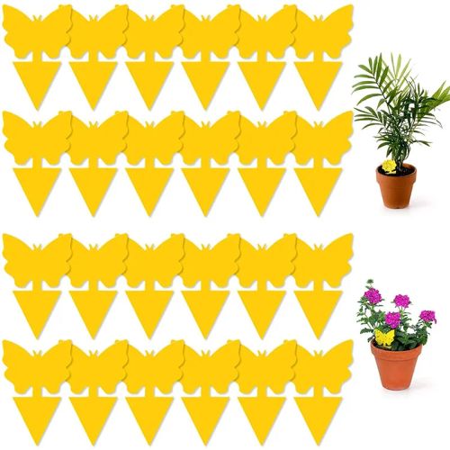 Natural Sticky Insect Board Traps for Effective Plant Pest Control