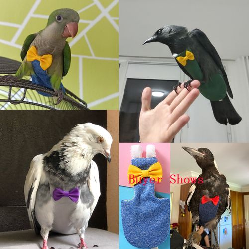 Bird Diaper Flight Suit for Parrots - Adjustable Cotton Pet Clothes