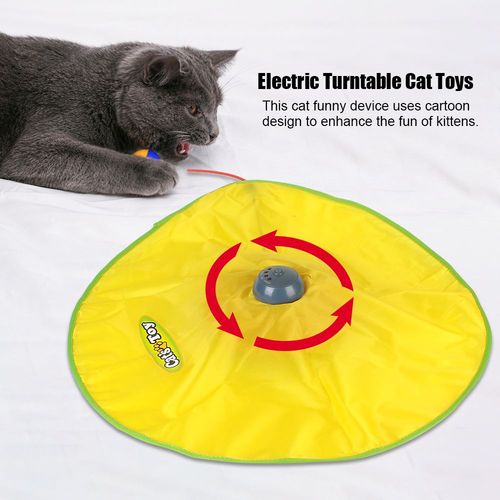 Electric Cat Toy Plate - Interactive Feather for Endless Fun