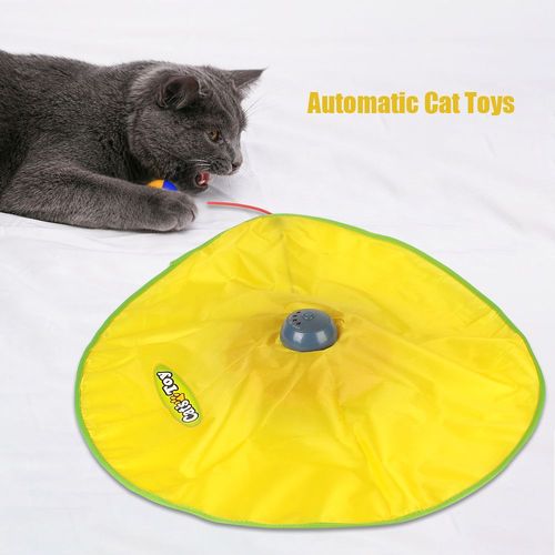 Electric Cat Toy Plate - Interactive Feather for Endless Fun