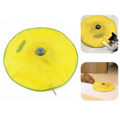 Electric Cat Toy Plate - Interactive Feather for Endless Fun