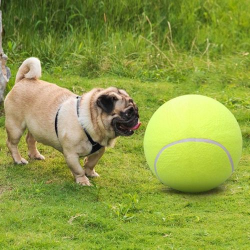 Oversized 8inch Rubber Squeak Chew Ball - Interactive Dog Toy - green