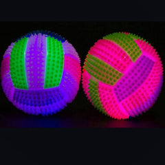 Multi-colour Durable Interactive Dog Toy with Squeak Ball Feature