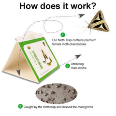 Eco-Friendly Moth Traps - Non-Toxic & Safe Pest Control Solution - 5Pcs