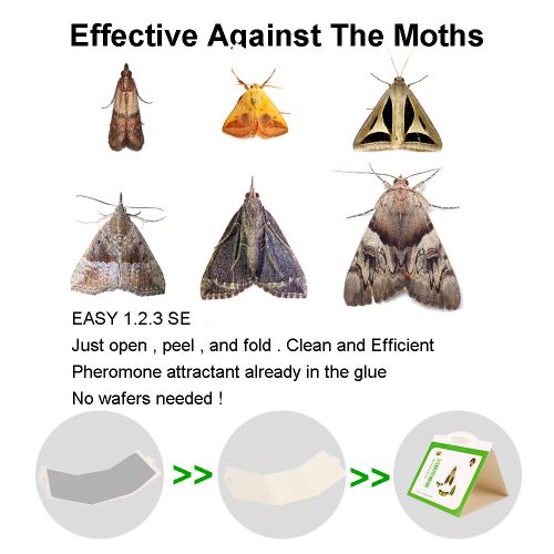 Eco-Friendly Moth Traps - Non-Toxic & Safe Pest Control Solution - 5Pcs