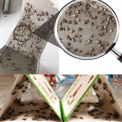 Eco-Friendly Moth Traps - Non-Toxic & Safe Pest Control Solution - 5Pcs