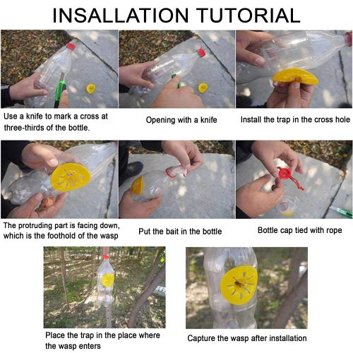 Adhere To Fly Eco-Friendly Wasp Trap Catcher for Effective Pest Control