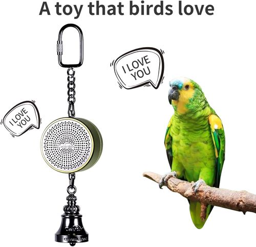 Voice Recordable Bird Toy - Interactive Learning Aid for Birds
