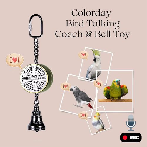 Voice Recordable Bird Toy - Interactive Learning Aid for Birds