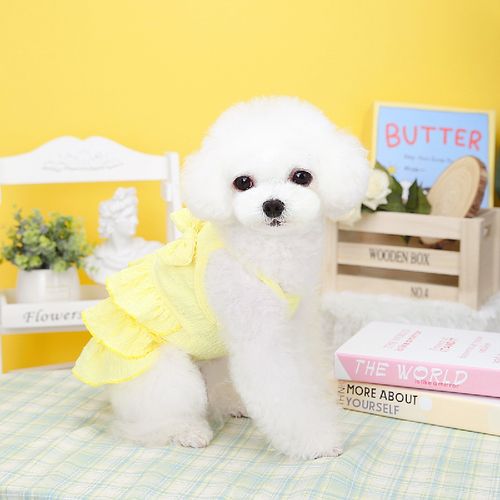 ZHUANGYUN Stylish Summer Dog Skirt - Pet Clothes for Active Dogs