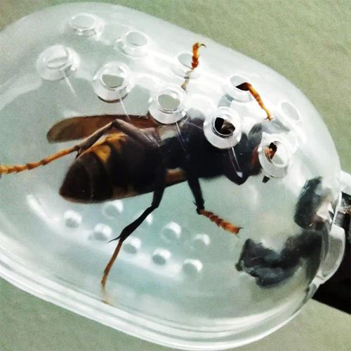 Aleekit Eco-Friendly Insect Catcher for Home & Field Pest Control - 02