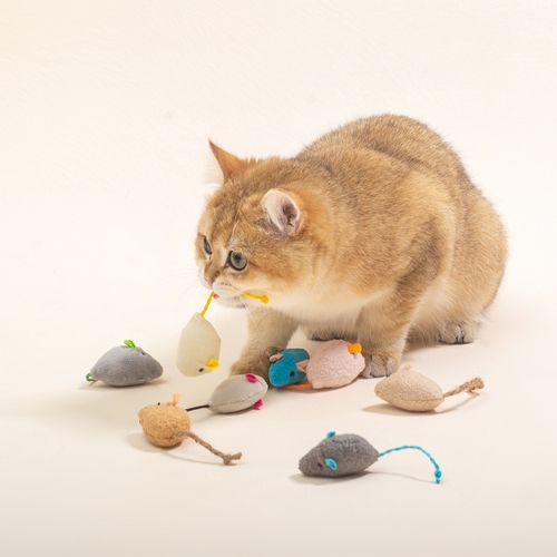 Tongyue Interactive Funny Plush Cat Toy for Play & Training