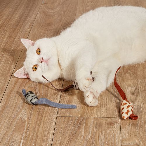 Tongyue Interactive Funny Plush Cat Toy for Play & Training
