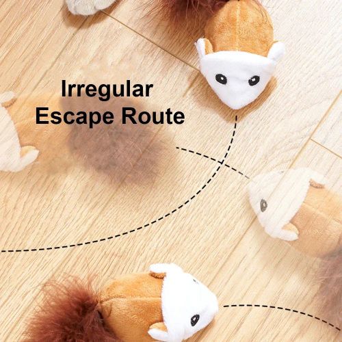 Interactive Cat Toy - Chasing Robot Mouse for Fun & Exercise