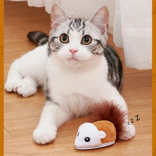 Interactive Cat Toy - Chasing Robot Mouse for Fun & Exercise
