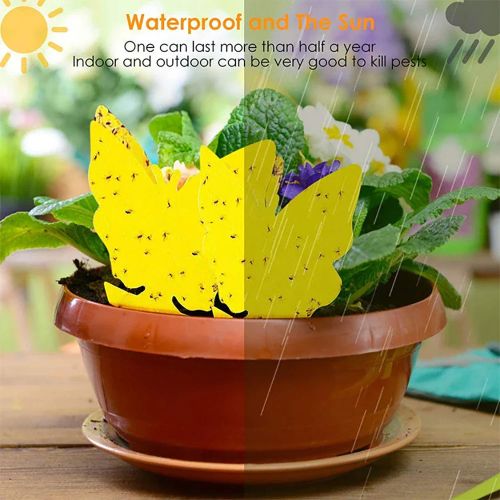 Sticky Insect Board - Effective Pest Control - Yellow PP Plastic Boards