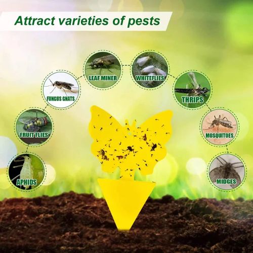 Sticky Insect Board - Effective Pest Control - Yellow PP Plastic Boards