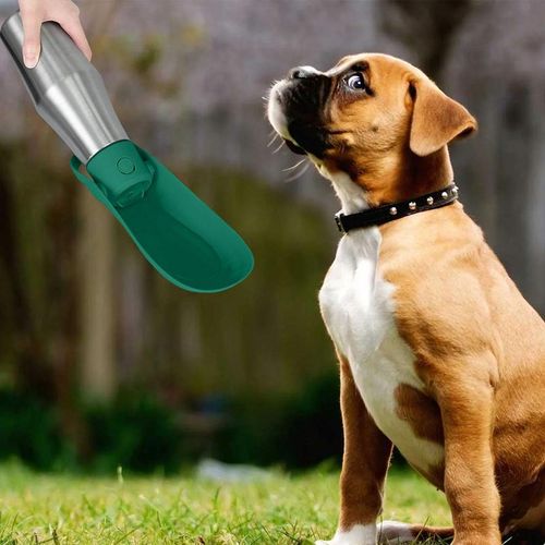 Stainless Steel 27oz Dog Water Bottle & Bowl - Portable Pet Supplies