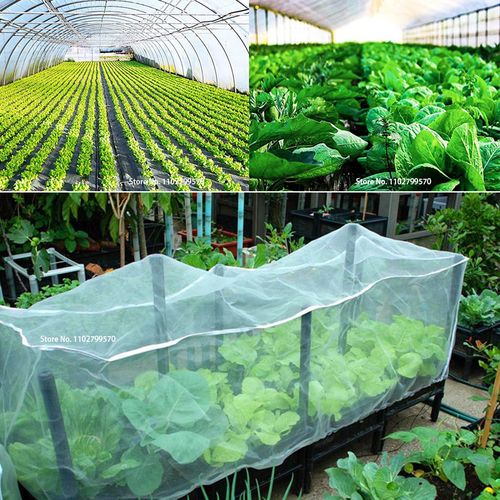 Protective Garden Insect Netting – Durable Polyethylene Pest Control Cover
