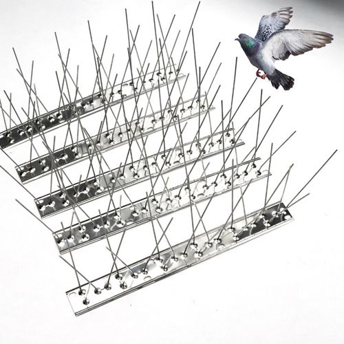 Durable Stainless Steel Bird Spikes - Effective Humane Pest Control