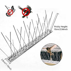 Durable Stainless Steel Bird Spikes - Effective Humane Pest Control