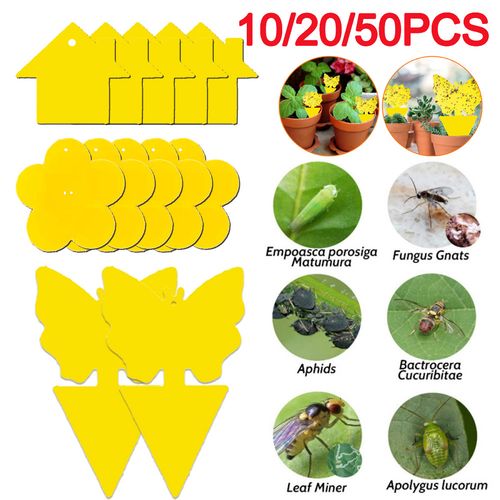 Shunmaii Yellow Sticky Traps - Natural Pest Control for Insects - 10pcs