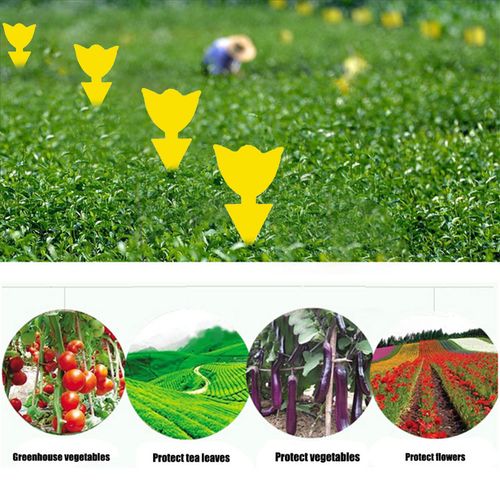 Shunmaii Yellow Sticky Traps - Natural Pest Control for Insects - 10pcs
