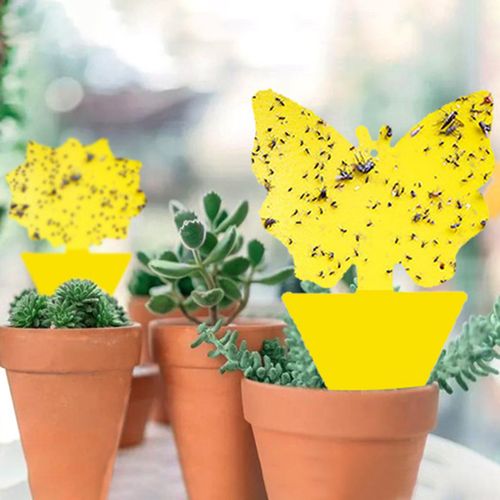 Shunmaii Yellow Sticky Traps - Natural Pest Control for Insects - 10pcs