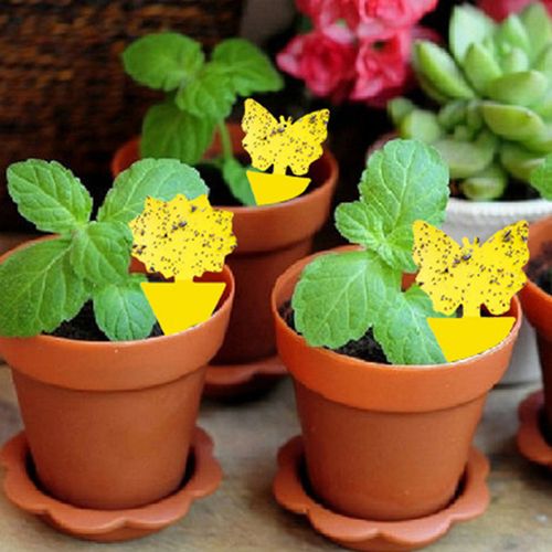 Shunmaii Yellow Sticky Traps - Natural Pest Control for Insects - 10pcs
