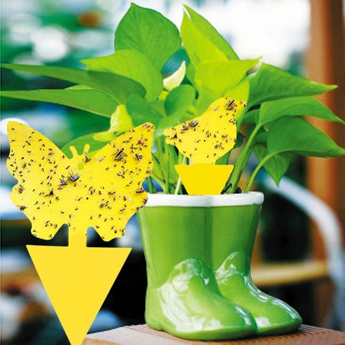 Shunmaii Yellow Sticky Traps - Natural Pest Control for Insects - 10pcs