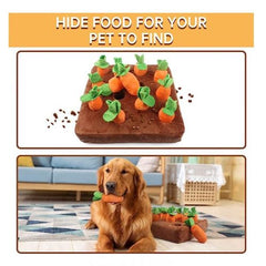 Carrot Farm Plush Dog Toy - Educational Chewing & Foraging Fun - Orange / 35CMx35CM