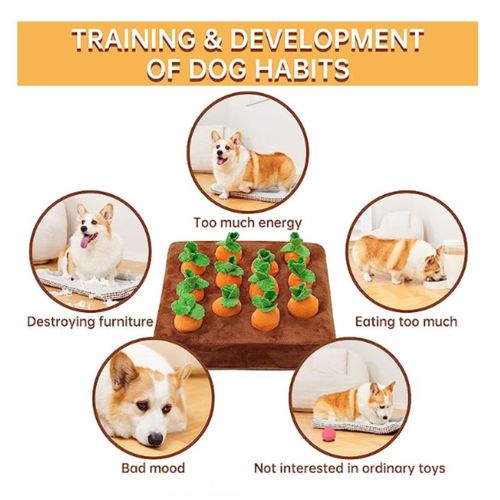 Carrot Farm Plush Dog Toy - Educational Chewing & Foraging Fun - Orange / 35CMx35CM