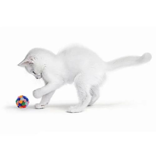 Multicolour Catnip Balls - Fun & Durable Pet Toys for Cats