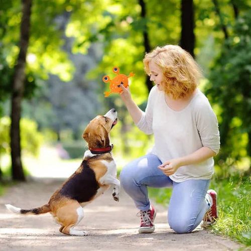 Plush Squeaky Dog Toy - Crayfish & Crab - Safe & Fun Playtime