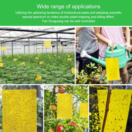 Sticky Insect Board - Powerful Flycatcher for Greenhouse Pest Control