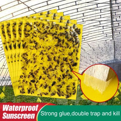 Sticky Insect Board - Powerful Flycatcher for Greenhouse Pest Control