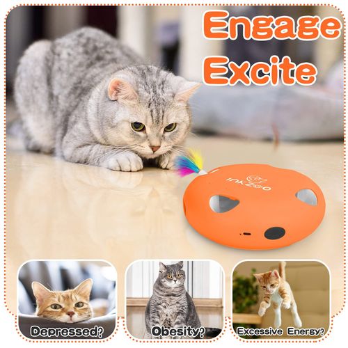 INKZOO Interactive Cat Toy - Engaging Feather Fun for Cats