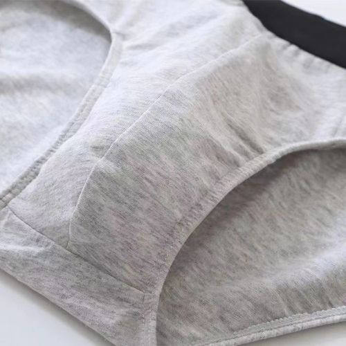 Comfortable Cotton Spandex Briefs - Breathable Male Underwear - Model 5025
