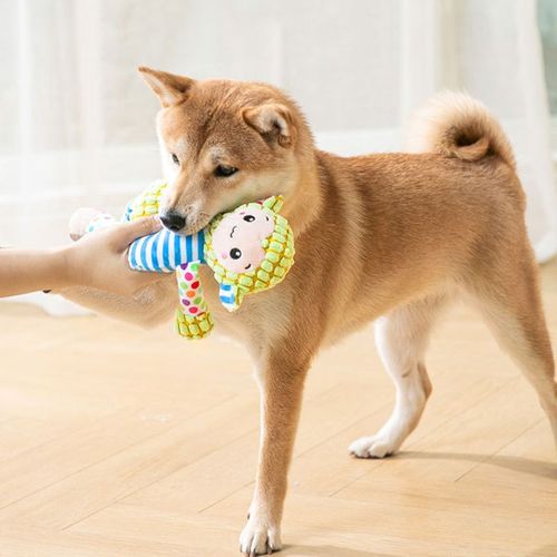 Ishiline Interactive Squeaky Dog Toy - Plush Bite-Resistant Comfort