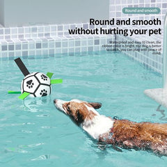 Interactive Dog Toy Football - Bite-Resistant Training Ball for Dogs - Black White / 12.5cm