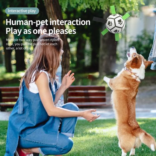 Interactive Dog Toy Football - Bite-Resistant Training Ball for Dogs - Black White / 12.5cm