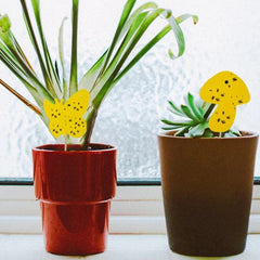 Yellow Sticky Flycatcher Trap - Eco-Friendly Pest Control for Indoor Plants - 59pcs