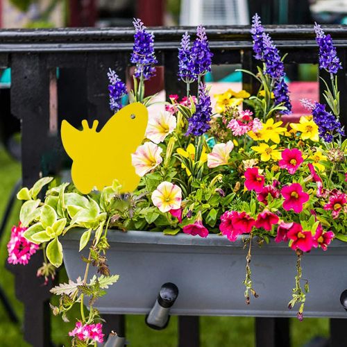 Yellow Sticky Fly Trap for Effective Pest Control - 6 Decorative Boards - yellow